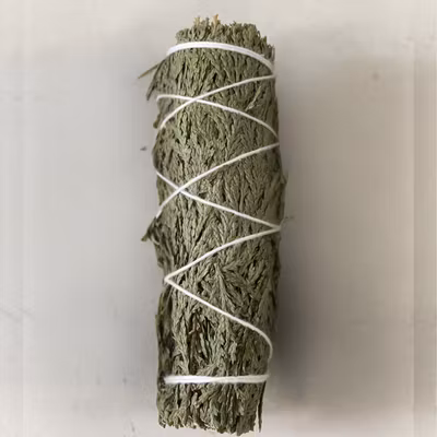 Salviabunt av cederträ - handbunden