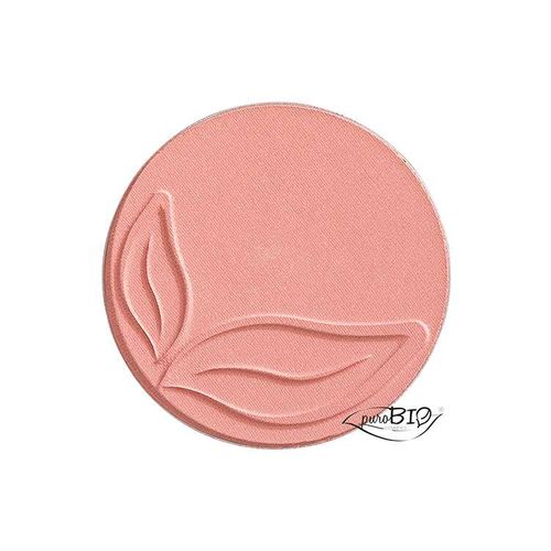 Blush 01 Pink Shimmer