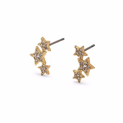 Silvia örhängen Silver/Guld