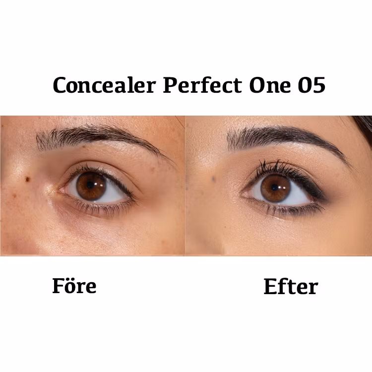 Concealer PERFECT ONE 05