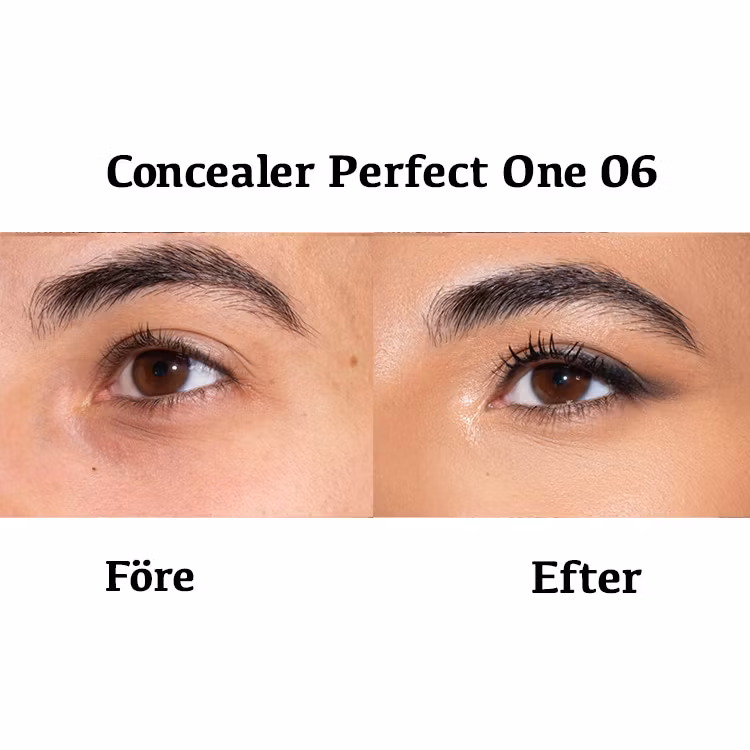 Concealer PERFECT ONE 06