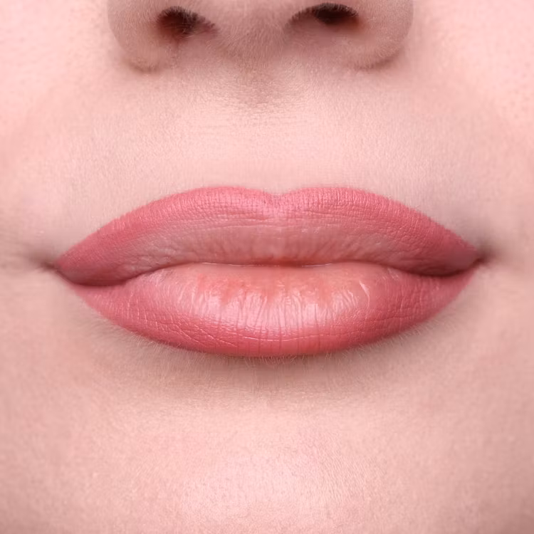Long Lasting LIP DUO Pencil Soft Pink Nude 104L