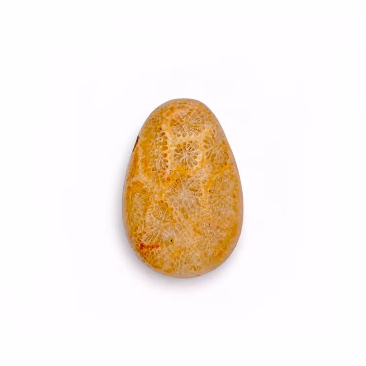 Jade Korall Hängsmycke (Droppe)