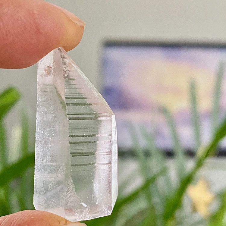 Lemurian Spets Mini