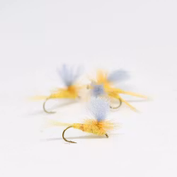 Gul Forsslända - Dun