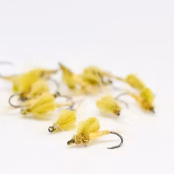 Gul Forsslända Kläckare / Yellow May Emerger