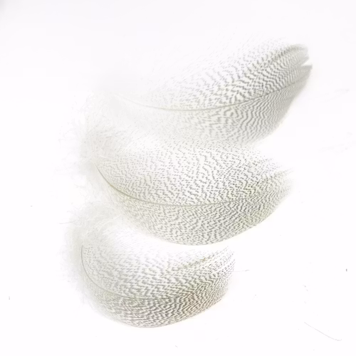 NTS Mallard Flank Feathers