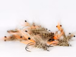 Laser Shrimp - Laser Räka