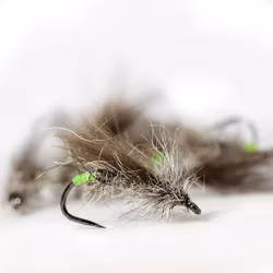 Butt Gnome Caddis