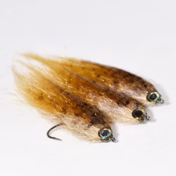 CF Eelpout/Tånglake