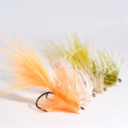 WB XL ( StockholmsBugger )