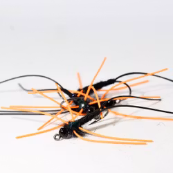 Black & Orange Nymph