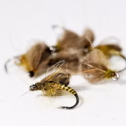 Quill Emerger