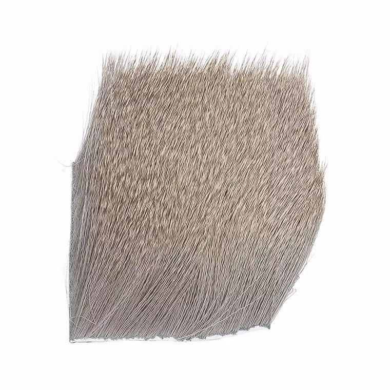 Deer Body Hair
