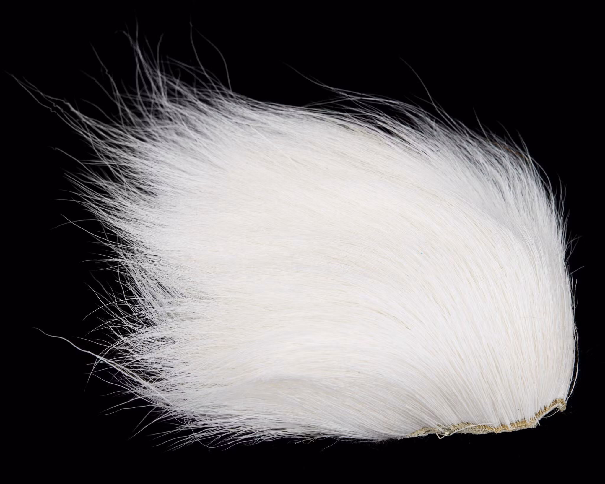 Nature Spirit Deer Belly Hair