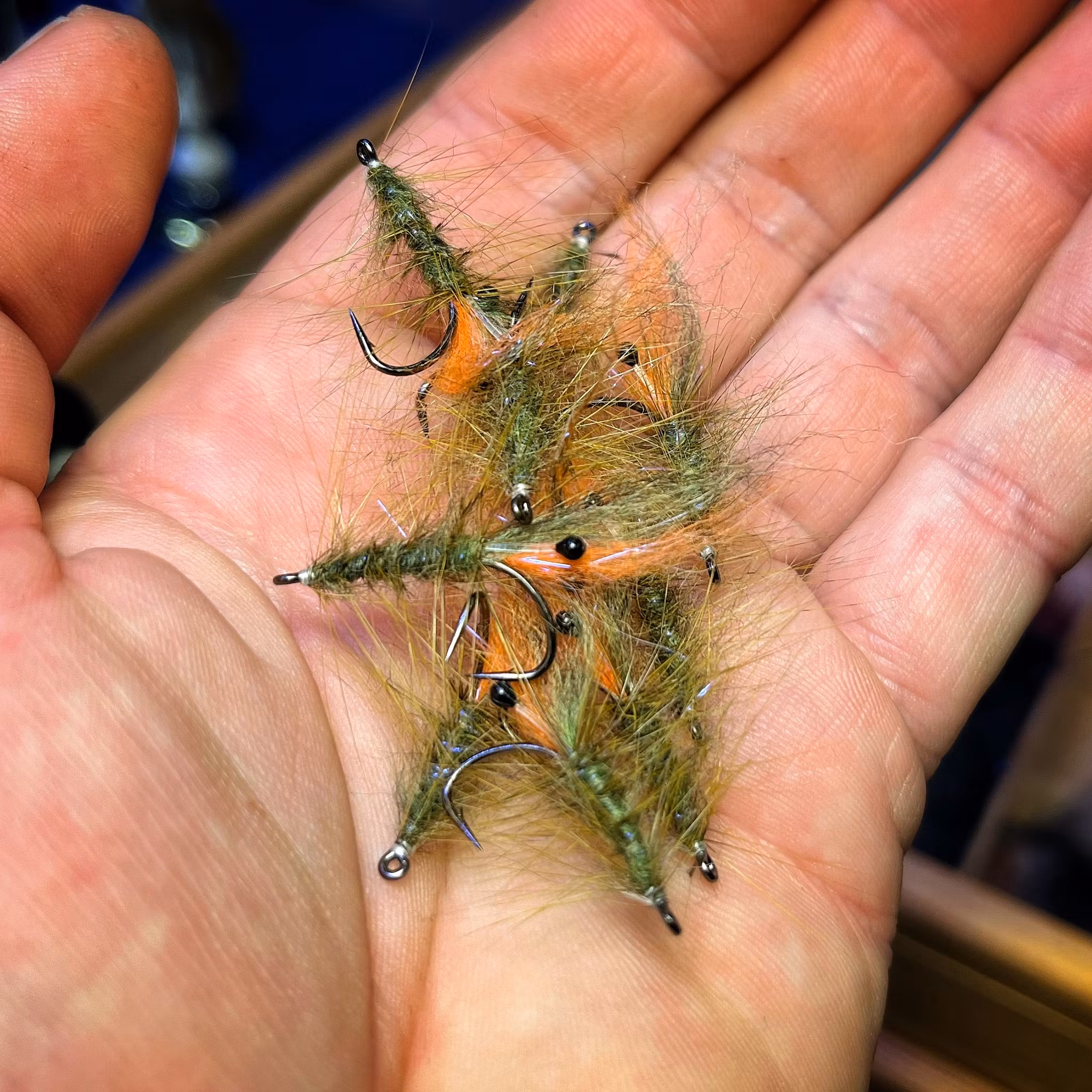 Laser Shrimp - Laser Räka