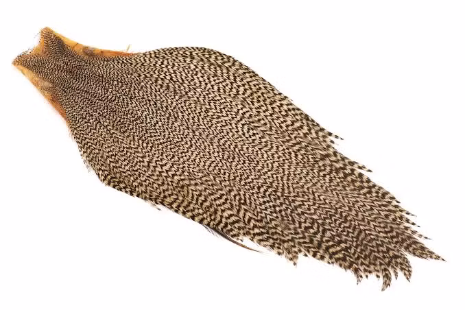 Keough Tyers Grade Cape