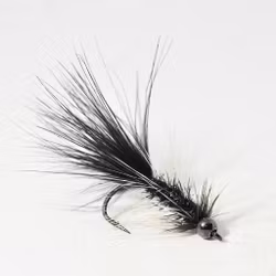 Woolly Bugger