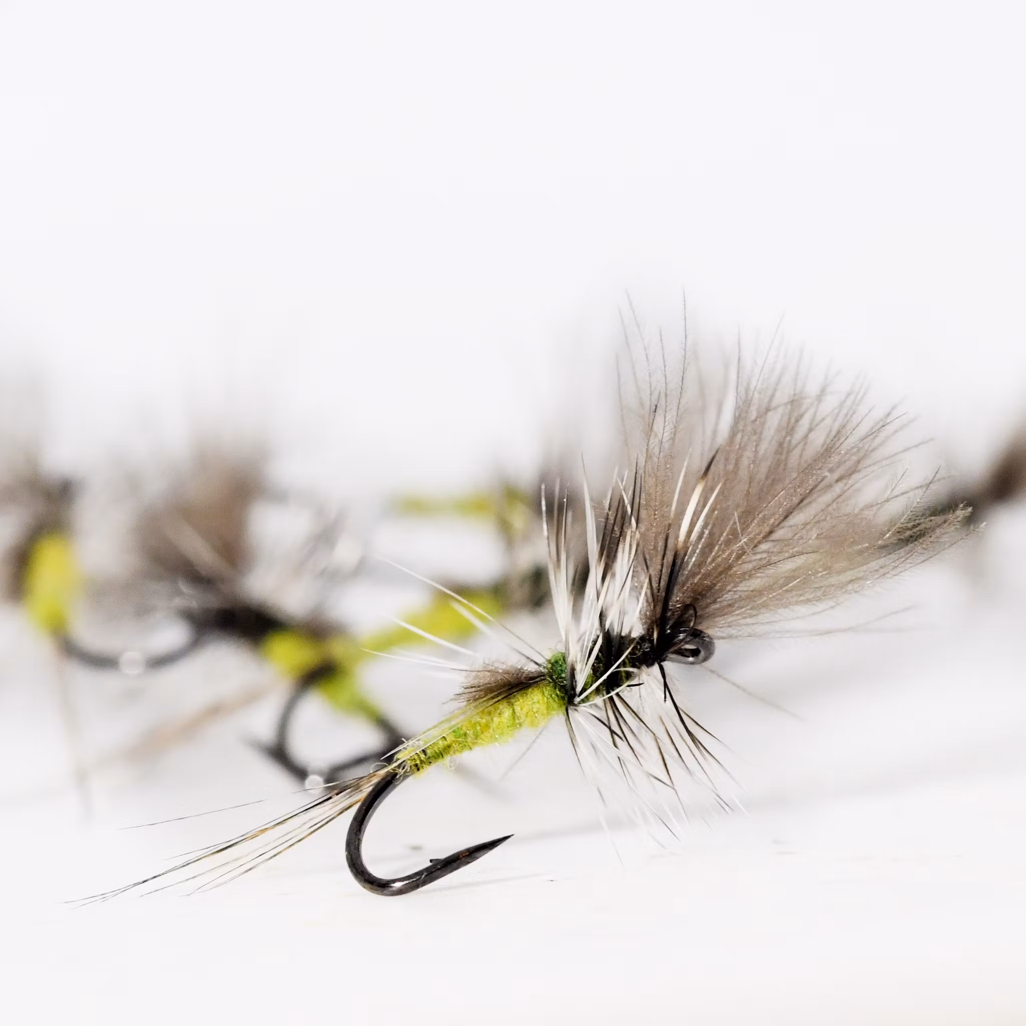 Crippled Baetis
