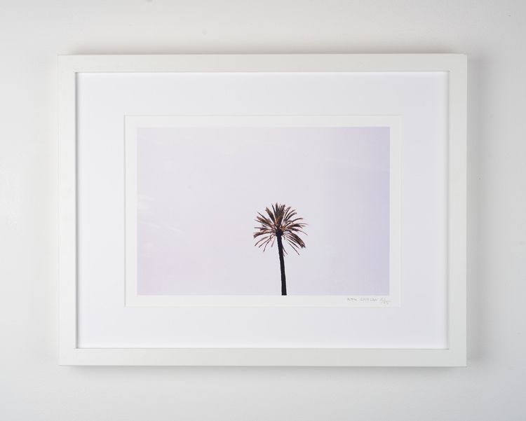 ”suburra palm”