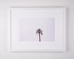 ”suburra palm”