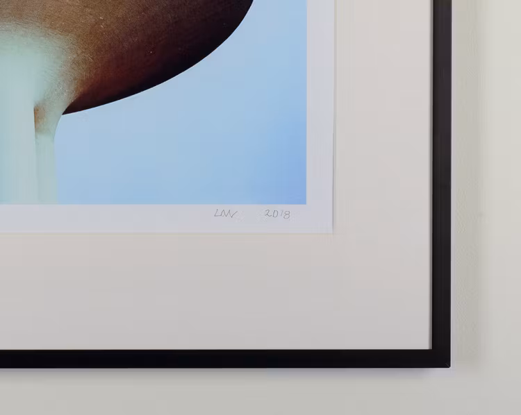 "ufo” black frame