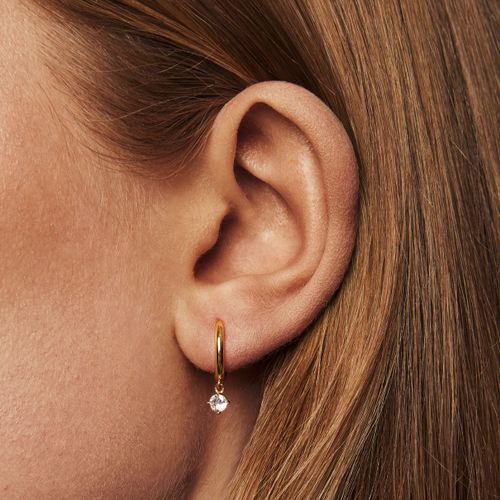 Petite Sparkling Hoops örhängen