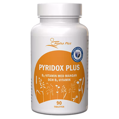 Pyridox Plus 90 tabletter Alpha Plus