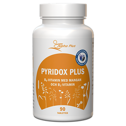 Pyridox Plus 90 tabletter Alpha Plus
