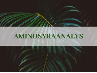 Aminosyraanalys i urin inkl. 30 minuters genomgång