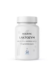 Laktozym 90 kapslar Holistic