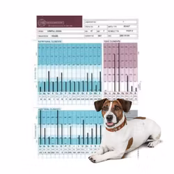 Hårmineralanalys Hund
