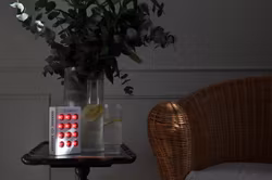The Robin Nutrilight