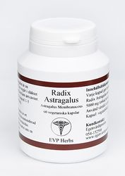 Radix Astragalus 60 kapslar EVP