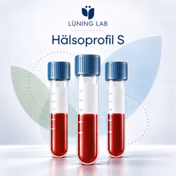 Hälsoprofil S