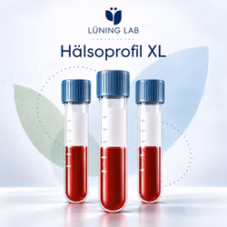 Hälsoprofil XL