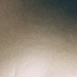 Borstad stål - Champange, metervara