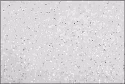 PET Glitter Vit mix - 6101