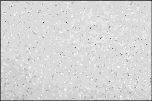 PET Glitter Vit mix - 6101