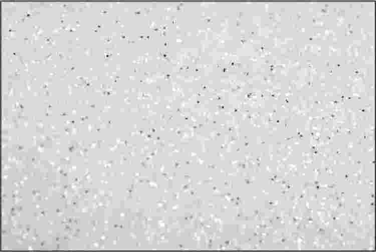 PET Glitter Vit mix - 6101