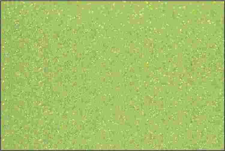 PET Glitter Neongul - 6140