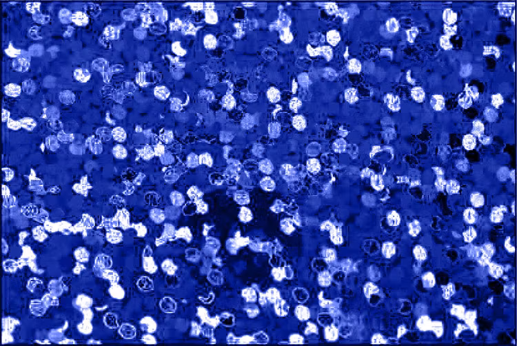 Holographic Kungsblå - 1906