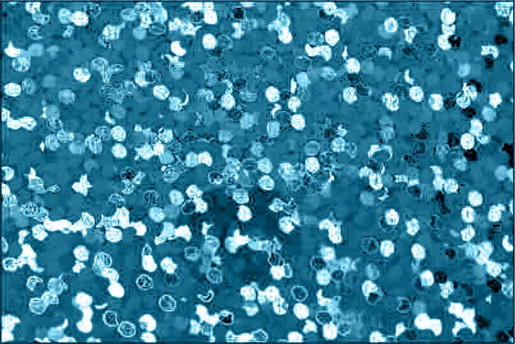 Holographic Aqua - 1968, ark 30 x 50 cm