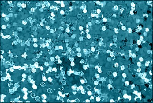 Holographic Aqua - 1968, ark 30x50 cm