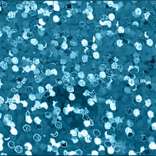Holographic Aqua - 1968, ark 30 x 50 cm