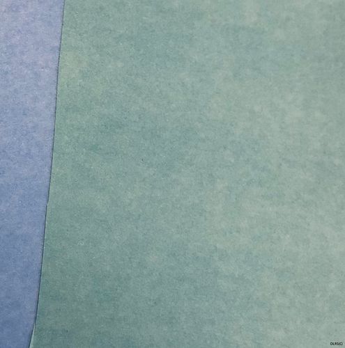 SISER Pärlemo - Teal