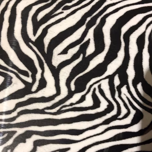 SEF Zebra