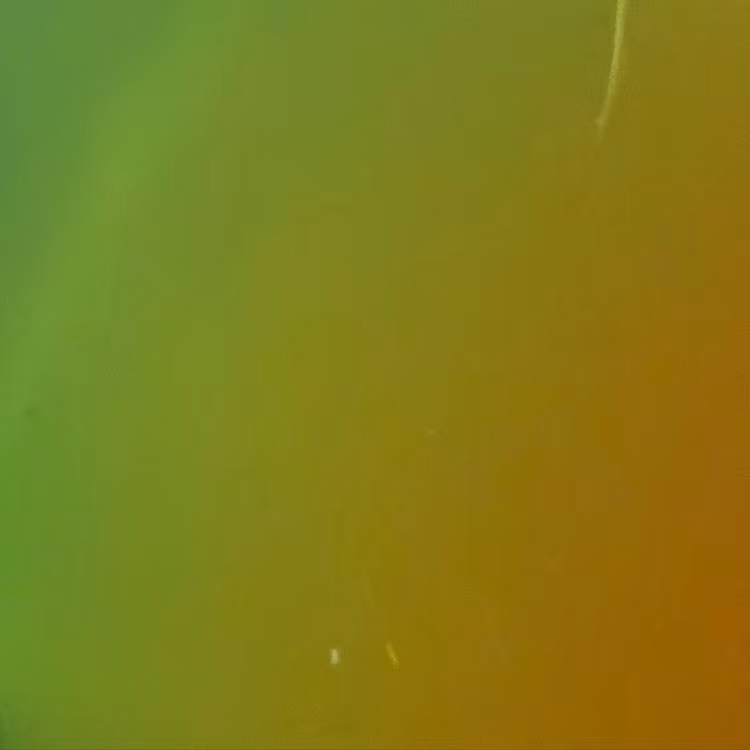 Chameleon - Northern Lights 1996