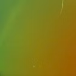 Chameleon - Northern Lights 1996