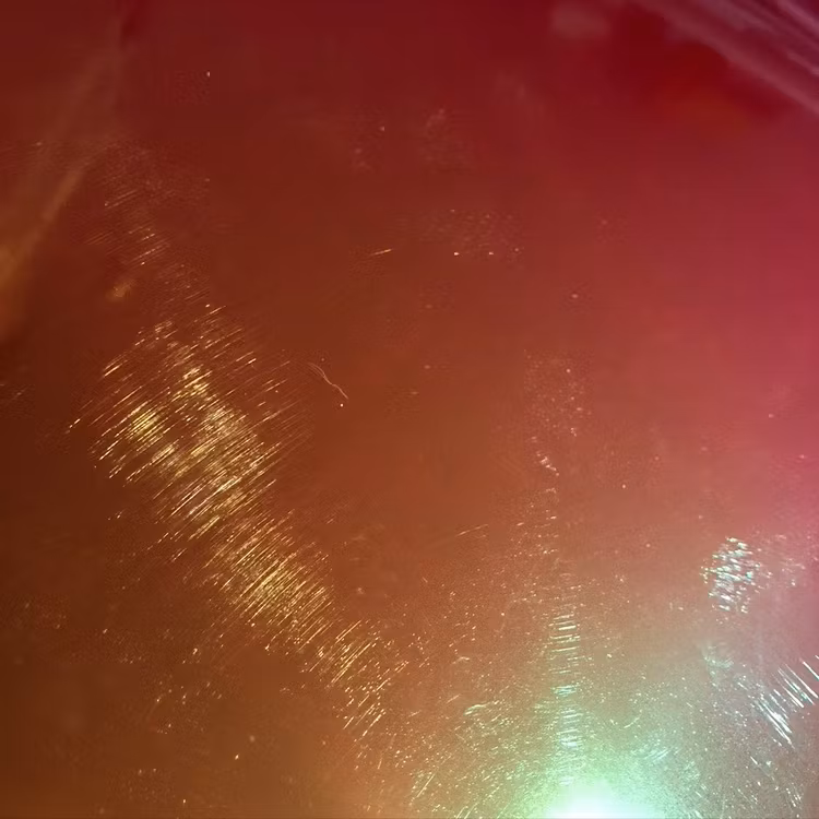 Chameleon - Sunset 1994